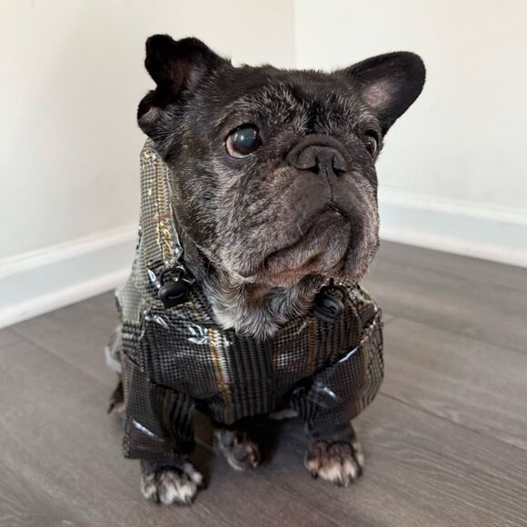 Stylish Cream Dog Raincoat with Plaid Print - Picture 2 of 3